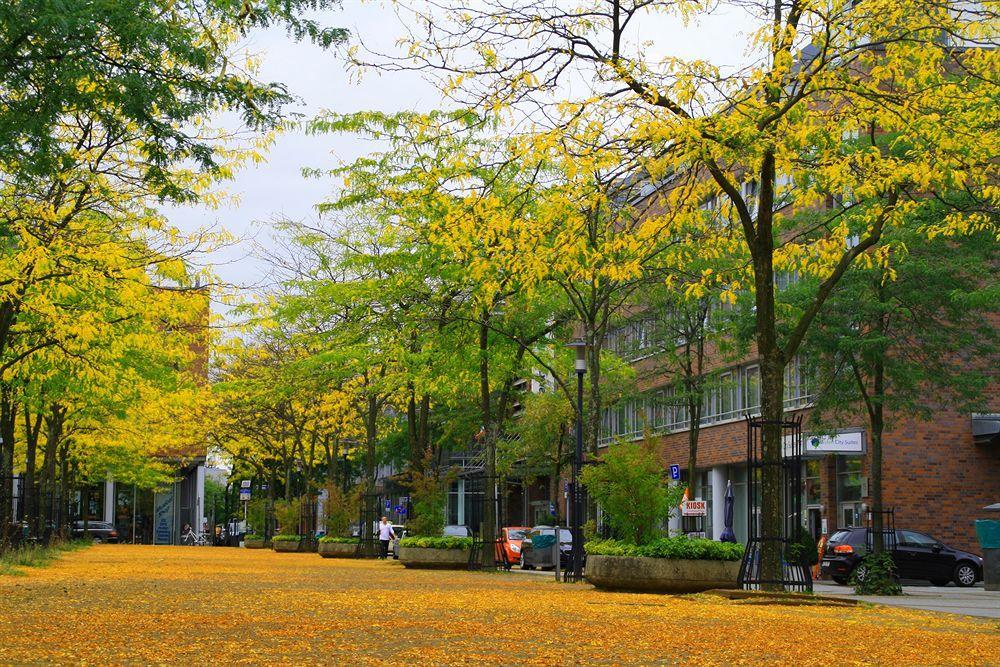 Essen City Suites Exterior foto